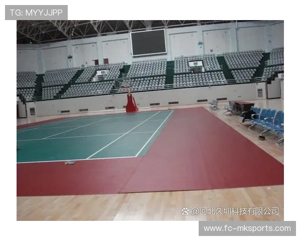 【场地分析】不同场馆的特殊战术应用，场馆布局