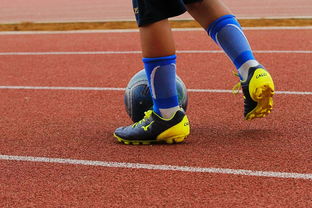 mk体育开云-CBA新赛季全面开打各队实力全面升级，cba新赛季有哪些球队